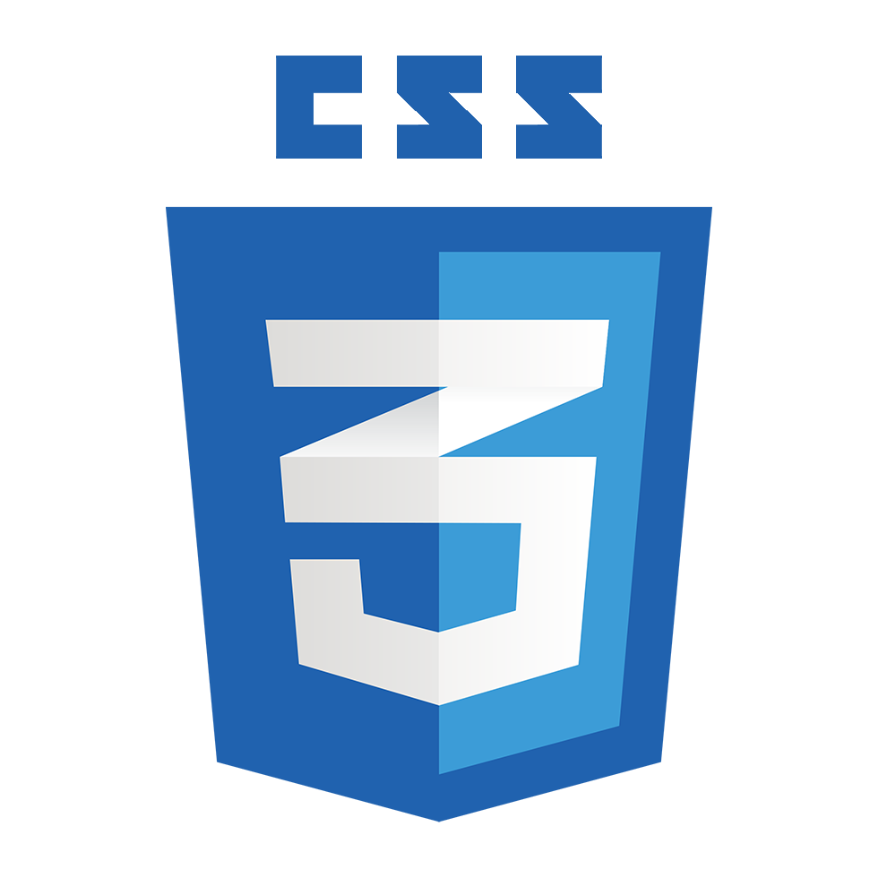 the CSS logo